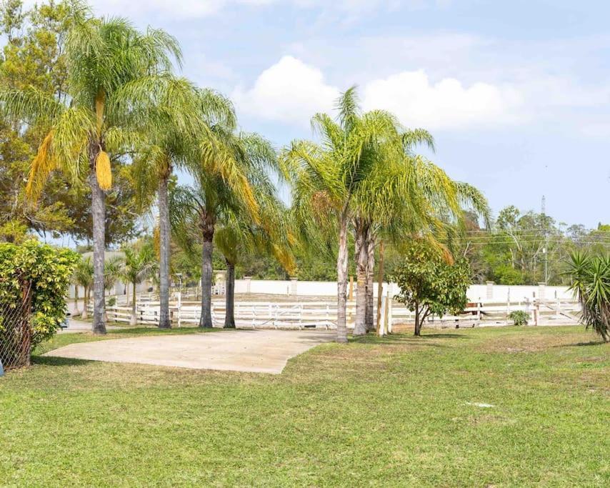 Apartamento Tampa Bay Oasis Tarpon Springs Exterior foto