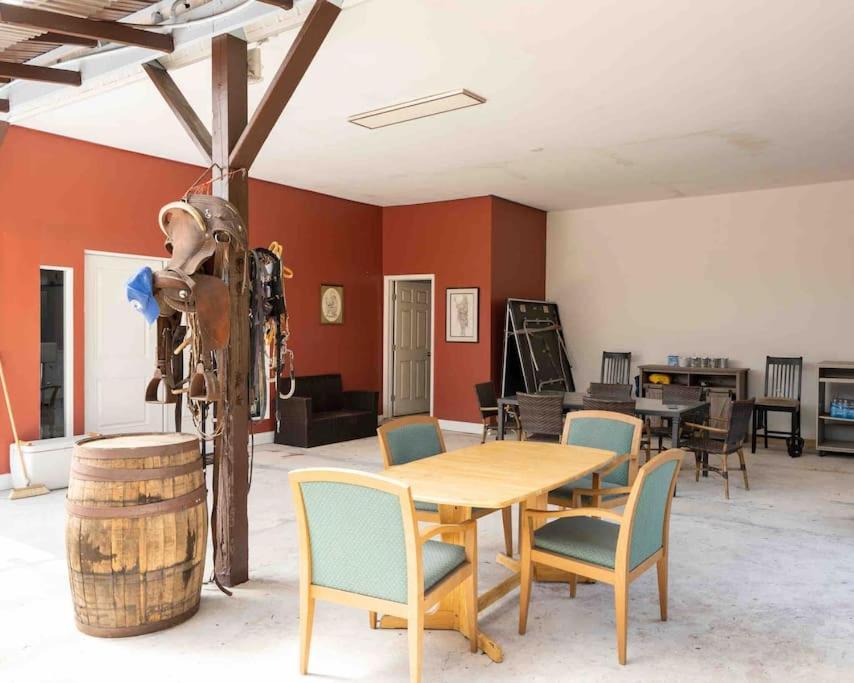 Apartamento Tampa Bay Oasis Tarpon Springs Exterior foto