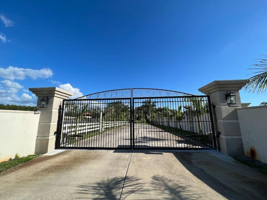 Apartamento Tampa Bay Oasis Tarpon Springs Exterior foto