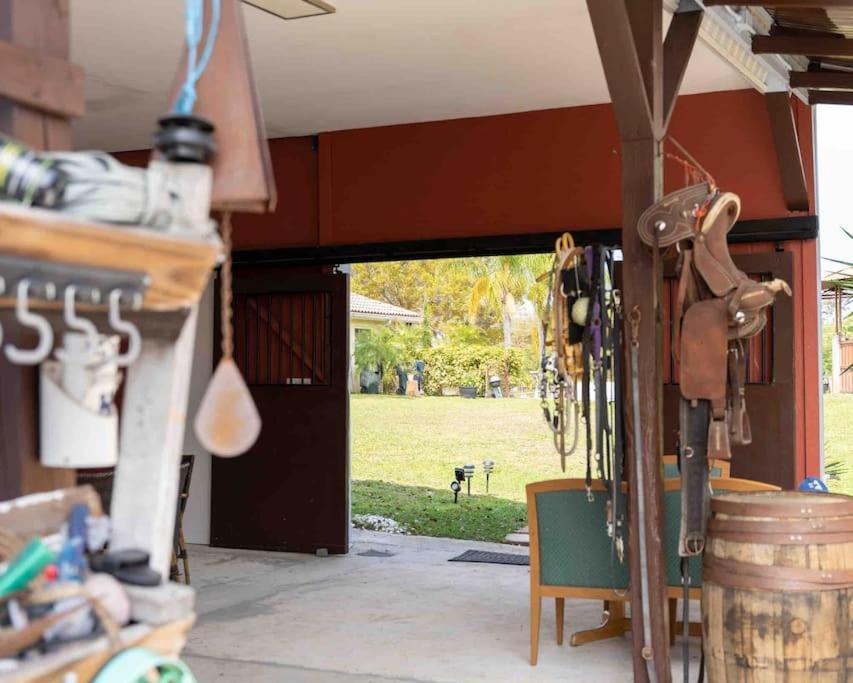 Apartamento Tampa Bay Oasis Tarpon Springs Exterior foto