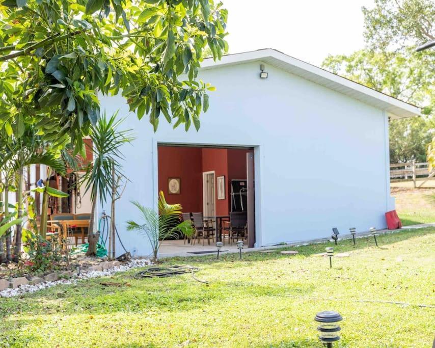 Apartamento Tampa Bay Oasis Tarpon Springs Exterior foto