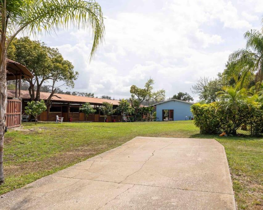 Apartamento Tampa Bay Oasis Tarpon Springs Exterior foto